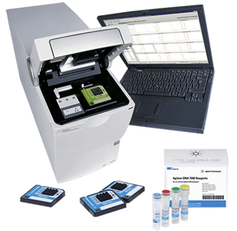 DNA Kit for the Agilent 2100 Bioanalyzer System