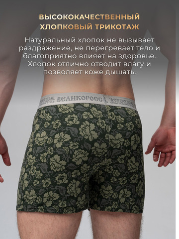 Комплект из 3-х семейных трусов - «Зелёная хохлома»