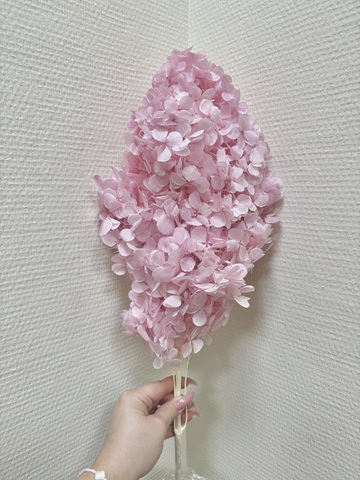 Гортензия стаб. пирамидальная Холодно-Розовый