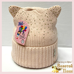 Шапка на хлопке д (4-8) 240923-FR2095