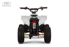 Детский электрический квадроцикл RiverToys MARK 1200W