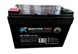 Аккумулятор ВОСТОК PRO СК 1233 ( 12V 33Ah / 12В 33Ач ) - фотография