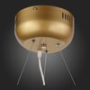 Люстра подвесная ST Luce Riccardo SL411.233.45