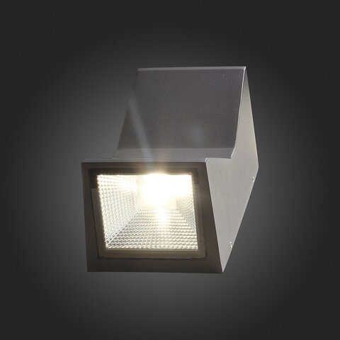 Светильник уличный настенный ST Luce Deale SL088.431.02