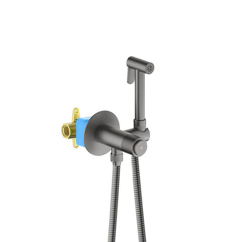 Aquatek AQ1023BGM AQ1023BGM БЕТТА комплект для гигиенического душа Select встроенный (смеситель + гигиеническая лейка + шланг), шлиф. черный хром