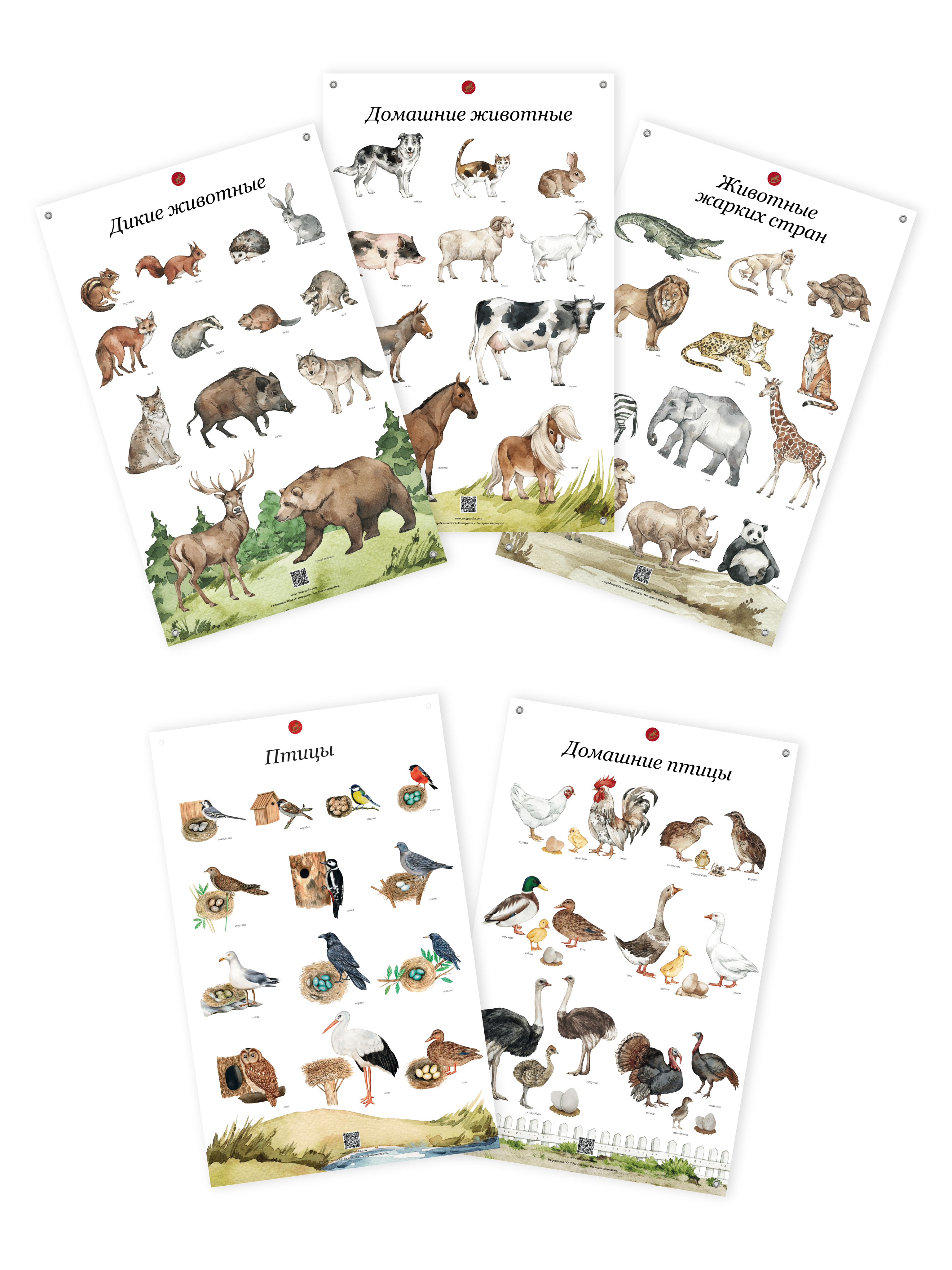 УМК для познавательного развития детей / комплект обучающих плакатов 38 шт. в тубусах