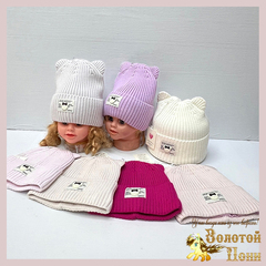 Шапка на хлопке д (2-5) 240923-FR2096