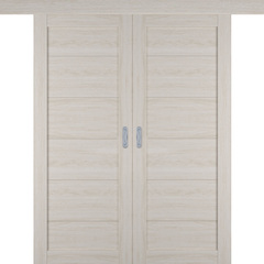 Купить Раздвижная двустворчатая дверь купе Atum Pro 32 Scansom Oak глухая