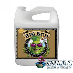 Стимулятор для роста и цветения Big Bud Coco Liquid