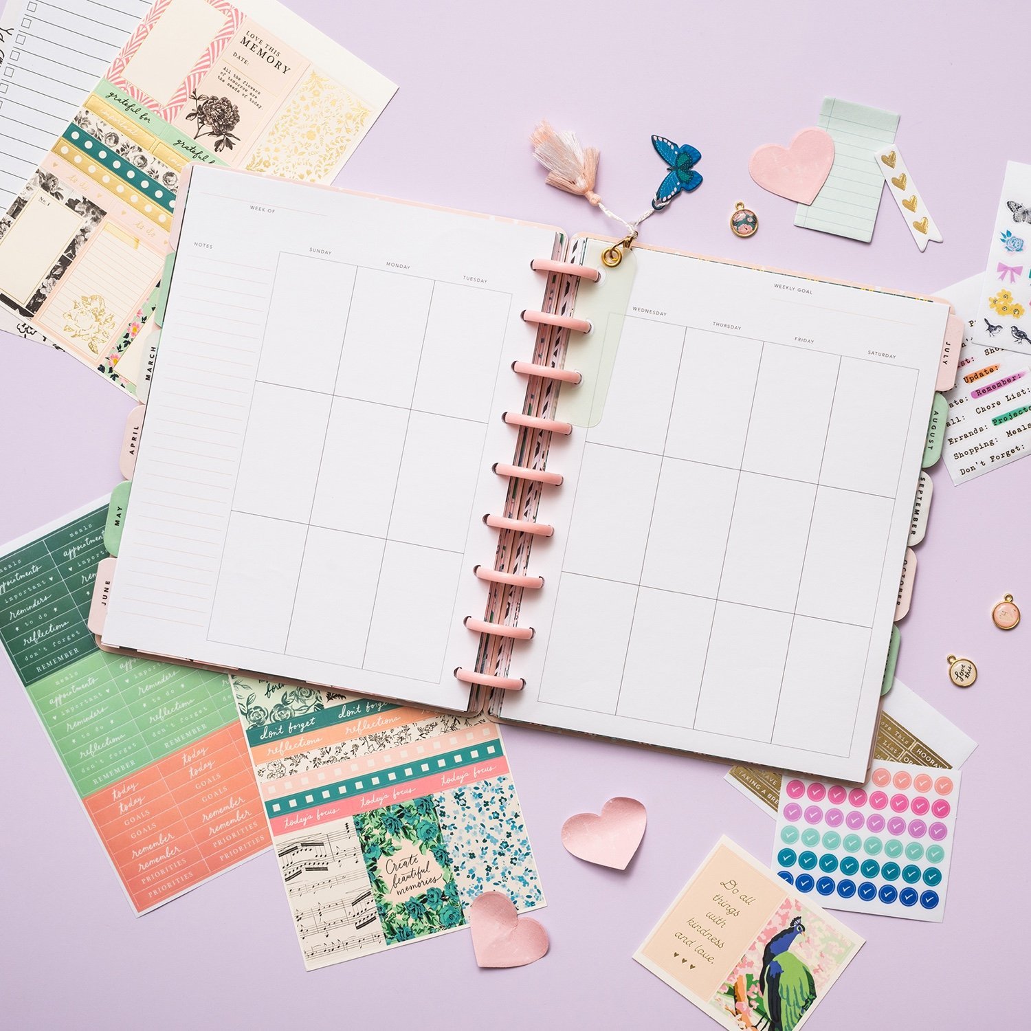 Планер на дисках, не датирован. Maggie Holmes Day-To-Day Undated 12 Month Planner- Daydream