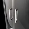 Radaway 1013000-01-01 Premium Pro PDD Door