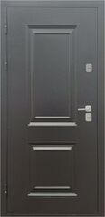 Дверь входная ДМ 11-1
