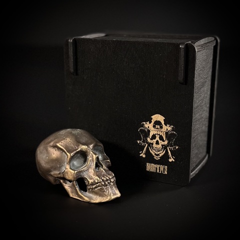 Череп из бронзы