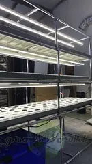 Многоярусный гидропонный стеллаж 3 яруса B1750хД2100хШ600мм до 300 растений