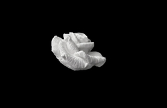 Силиконовый молд Роза объемная