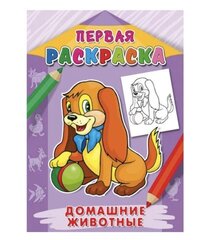 Раскраска А4 