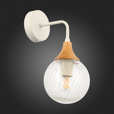 Светильник настенный Evoluce Lione SLE109501-01
