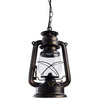 Подвес Arte Lamp Gambrinus A3843SP-1BG