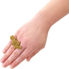 Холли О'Хара Весна