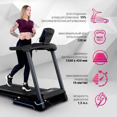 Беговая дорожка EveryFit 74203B