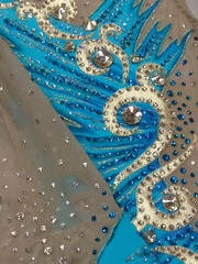 Купальник для выступлений на заказ( стоимость зависит от размера купальника)