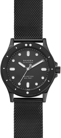 Наручные часы Skagen SKW2917 фото