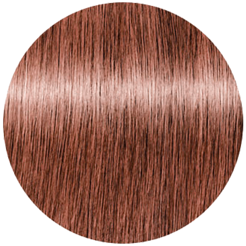 Schwarzkopf Igora Royal New 8-84 (Светлый русый красный бежевый) - Краска для волос