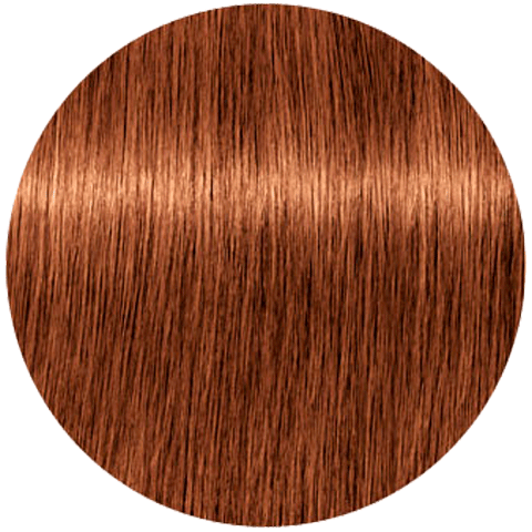 Schwarzkopf Igora Royal New 7-76 (Средний русый медный шоколадный) - Краска для волос