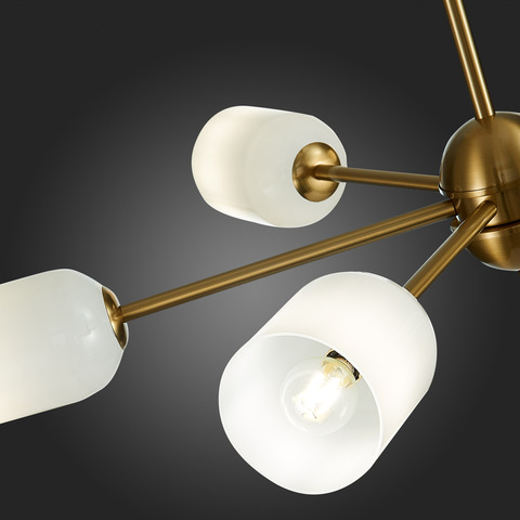 Люстра потолочная ST Luce Treviso SL1180.202.06