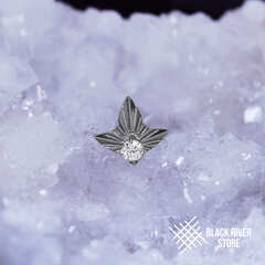 Leaf Geometry & Crystal