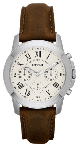 Наручные часы Fossil FS4839 фото