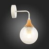 Светильник настенный Evoluce Lione SLE109501-01