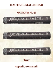Пастель масляная мягкая профессиональная MUNGYO Gallery Серый Угольный №320 (3шт)