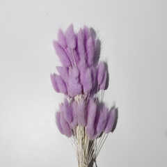 Сухоцвет, Лагурус, Светло-сиреневый, 65 см, 25 шт.