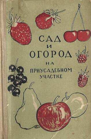 Сад и огород на приусадебном участке