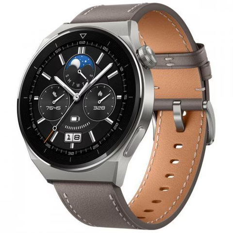 Смарт-часы Huawei GT 3 Pro ODN-B19 Light Titanium / Gray Leather