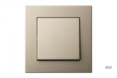 Выключатель Одноклавишный Шампань LIREGUS EPSILON