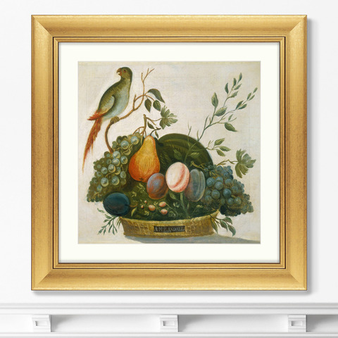 А.М.Рендалл - Репродукция картины в раме Basket of Fruit with Parrot, 1777г.