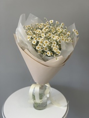 Монобукет ромашек арт. 230402.03