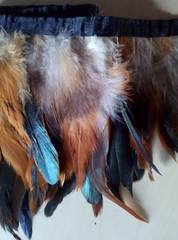 Тесьма  из перьев петуха h-15-18 см,( выбрать цвет)