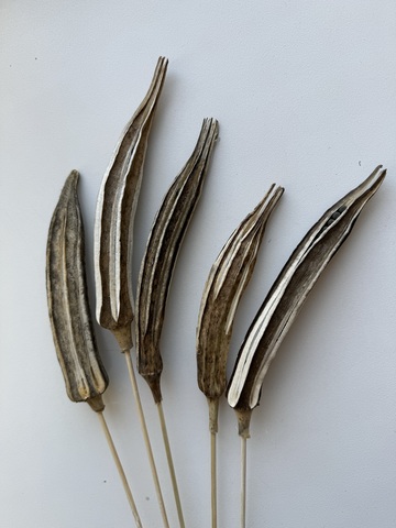 Бамия стручки на стебле из проволоки (5шт)