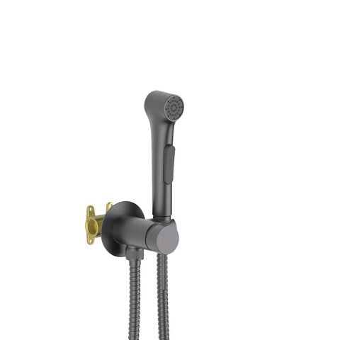 Aquatek AQ1020BGM AQ1020BGM ЕВРОПА комплект для гигиенического душа встроенный (смеситель + гигиеническая лейка + шланг), оружейная сталь