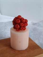 Силиконовая форма 