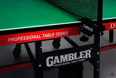 Стол теннисный GAMBLER DRAGON Зелёный