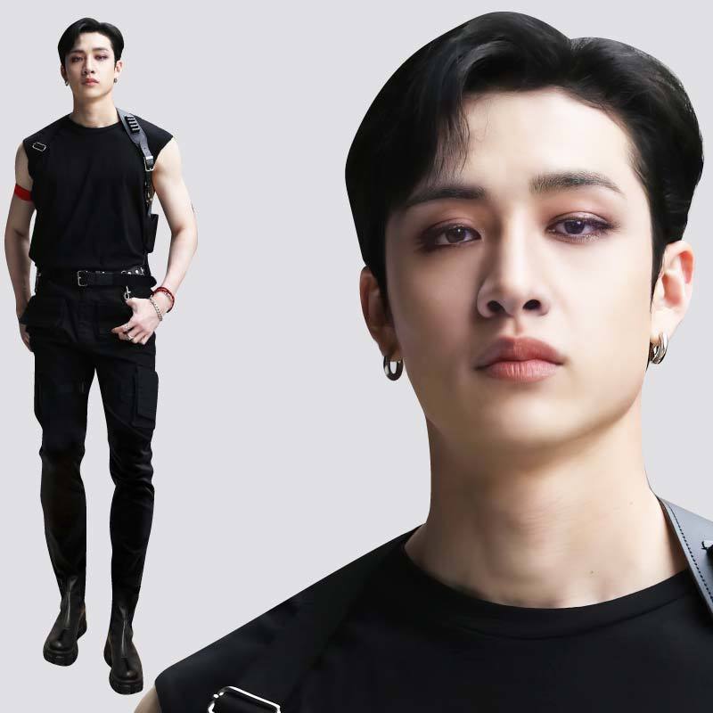 чан stray kids в полный рост. Stray kids чан 2020. банчан из stray kids в полный рост. фото бан чана в полный рост. фото бан чана в полный рост.