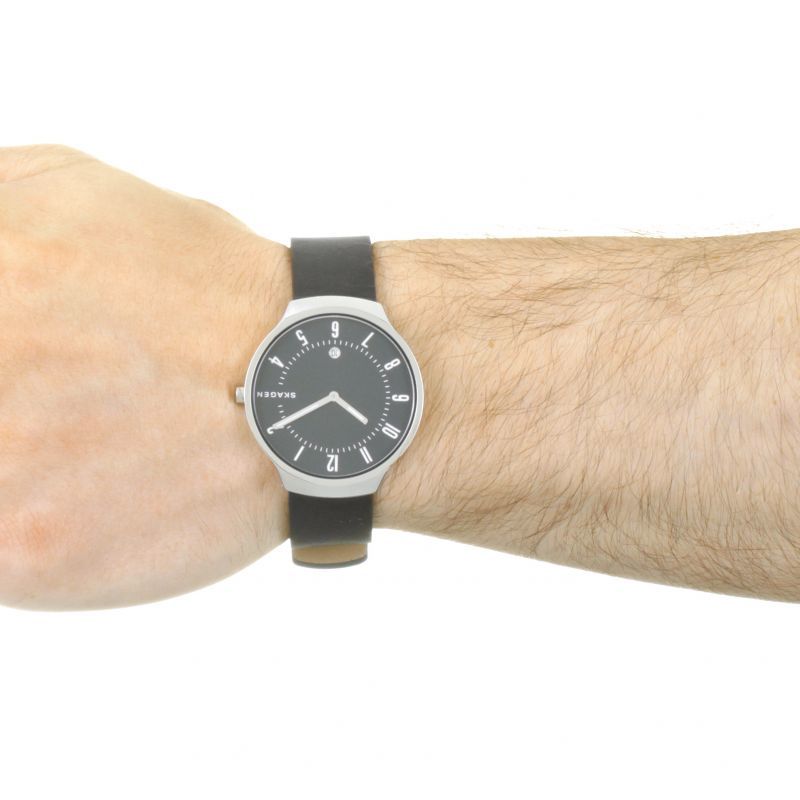 Skagen SKW6459 Skagen Leather SKW6459