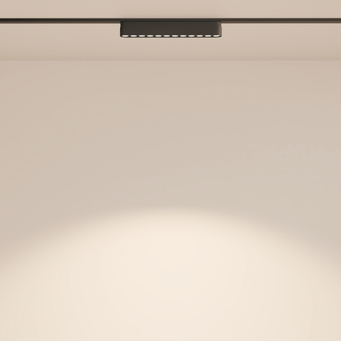 Трековый светильник Maytoni Points TR082-1-12W4K-M-B