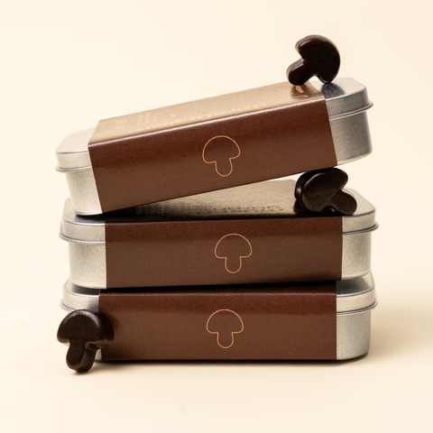 RE-FEEL MUSHROOM: Комплекс адаптогенов (мармелад 30 шт)