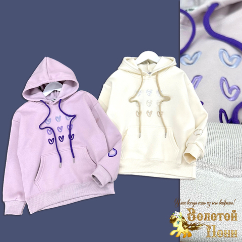 Толстовка начес д (3-7) 250823-NB466