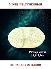 Молд 